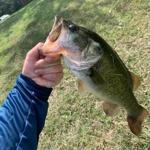 Meet your Posher, Travis